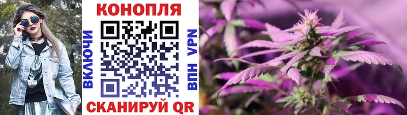 Бошки Шишки ГИДРОПОН  Елизово 